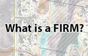 What is a FIRM?